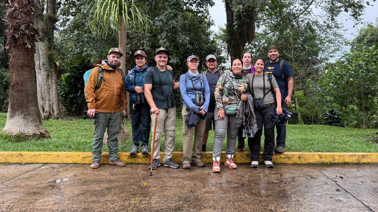 Mad Birders
