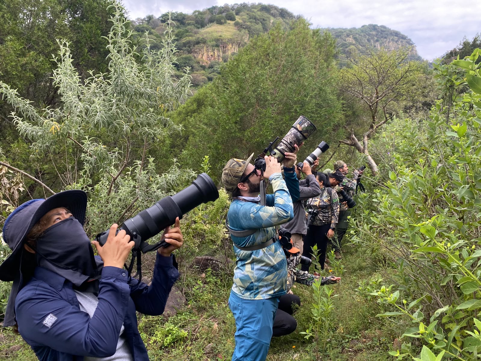 Mad Birders