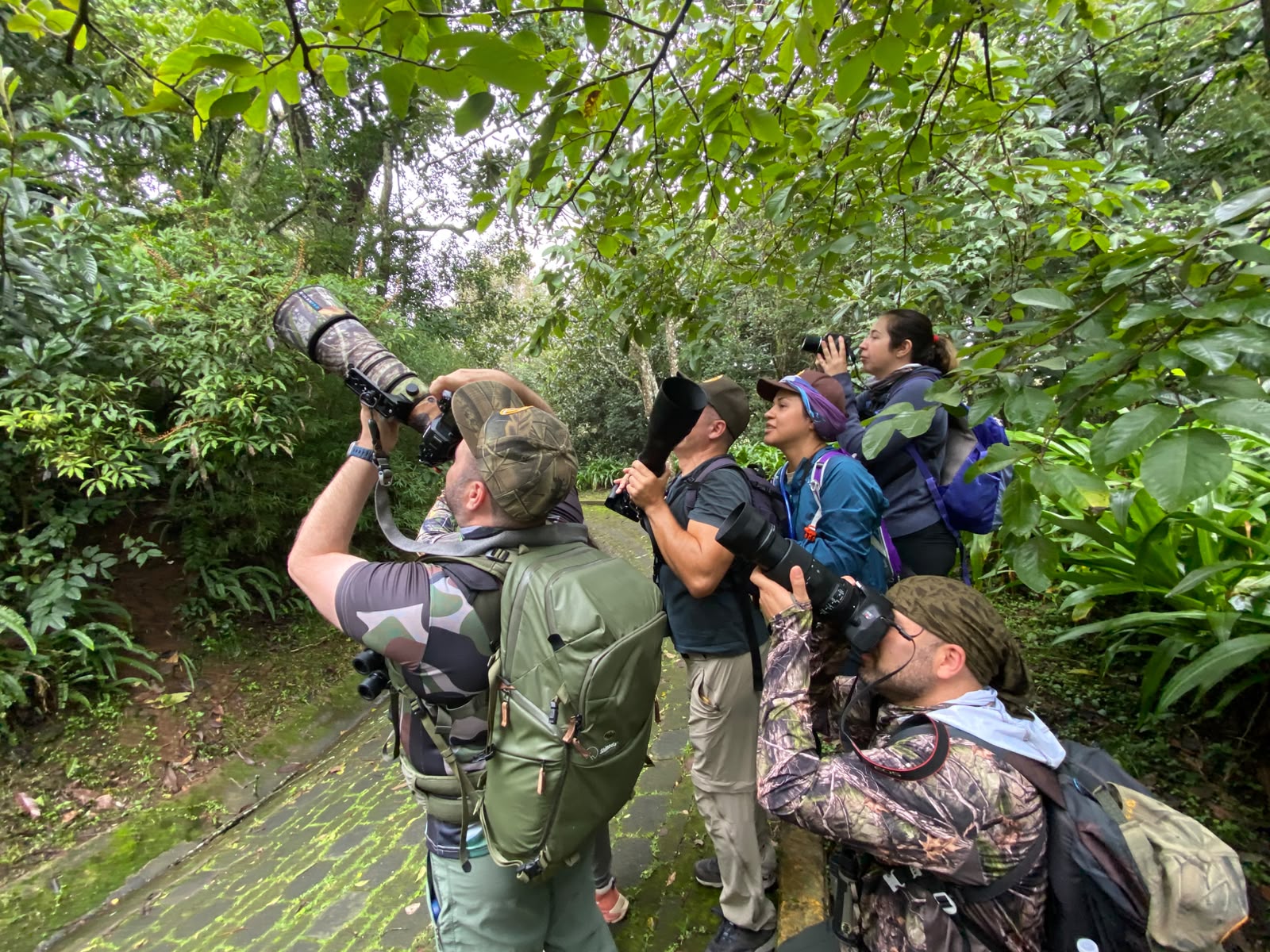Mad Birders